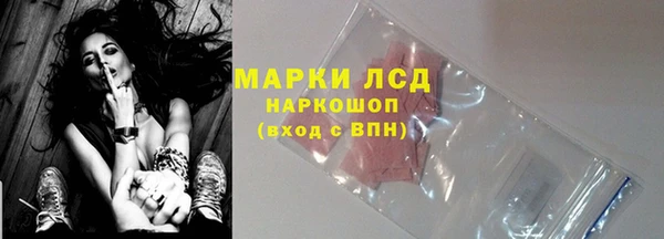спайс Аркадак