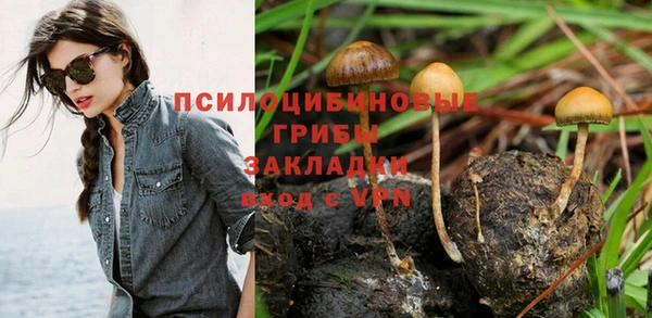 синтетический гашиш Арсеньев