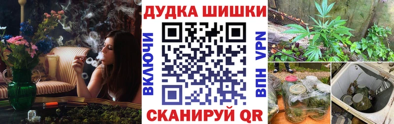 Канабис OG Kush  Купить  Узловая 